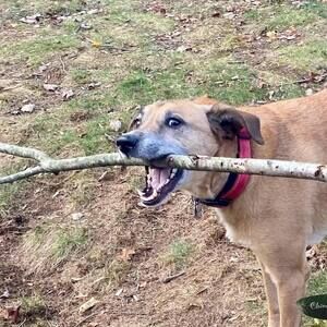 Meet your Posher, Claire